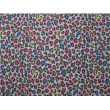 Oxford 600d Leopard Spots Printing Polyester Fabric (BB-08)